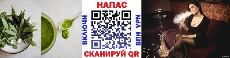 наркота  Артём  Cannafood конопля 