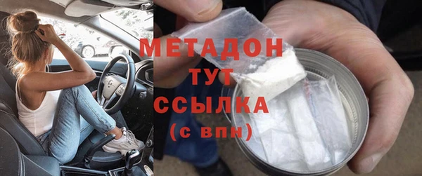 стаф Каменка