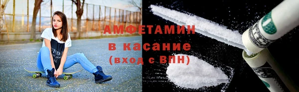 стаф Каменка