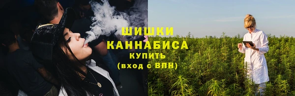 стаф Каменка