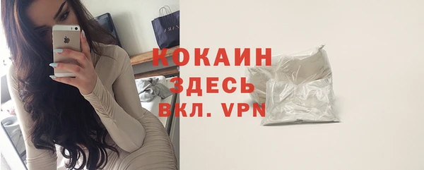 стаф Каменка