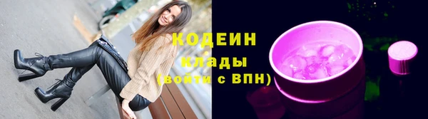стаф Каменка