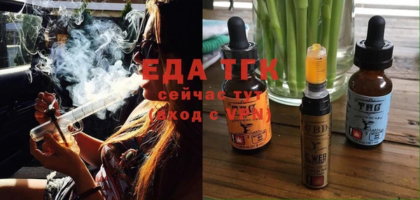 стаф Каменка