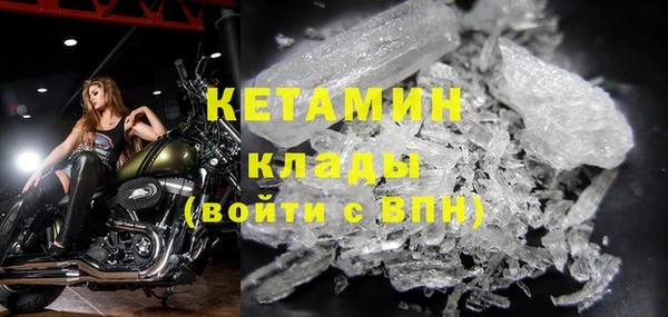 стаф Каменка