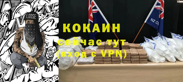 стаф Каменка