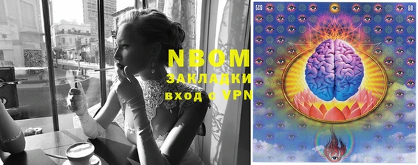 стаф Каменка