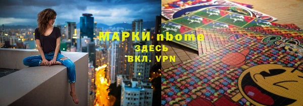 стаф Каменка
