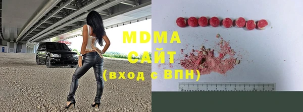 стаф Каменка
